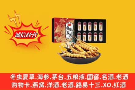 沈阳市康平回收冬虫夏草