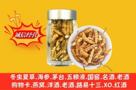 沈阳市康平回收散虫草