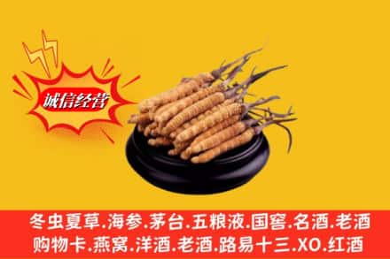 沈阳市康平名酒回收冬虫夏草.jpg